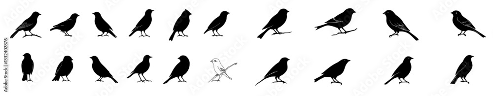 Obraz premium Illustration of birds in different positions. Bird perched on a branch, sketched by hand in black on a white background. Animal silhouette