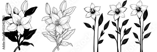 Vanilla plant flower and pods are depicted in hand drawn sketches isolated on a white background as part of a vanilla doodle illustrations set