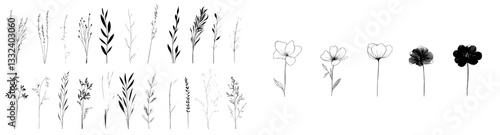 A collection of autumn botanical line drawings, featuring hand-drawn fall flowers in modern illustration style