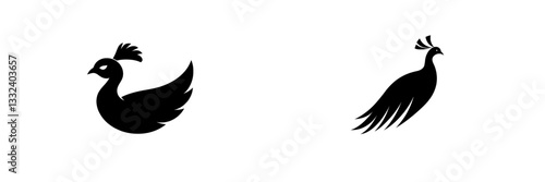 Peacock silhouette