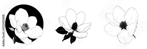 A black and white engraving illustration of a magnolia flower on a blooming branch can be used as a tattoo sketch, print, or ink cut out