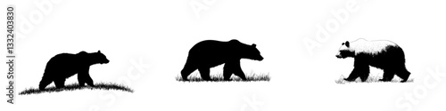 The illustration of a grizzly bear in black and white from a side view is extremely popular nowadays