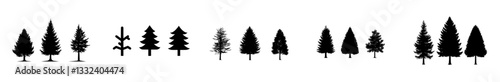 Pine tree silhouette
