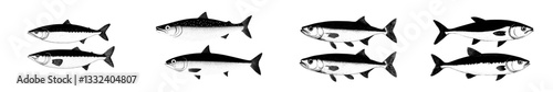 A vintage engraving of mackerel fish is depicted in a realistic black and white modern sketch