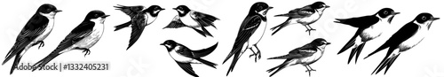 Illustrations of birds for decoration, including hand-drawn swallows and modern flying bird designs, are part of wildlife design elements and not stock