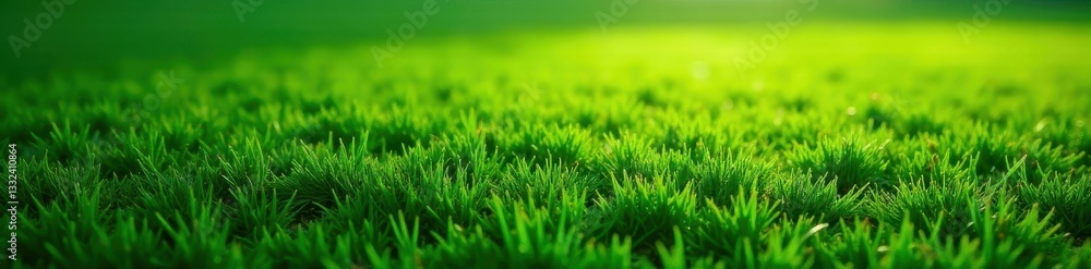 High-angle view, textured grass football field , yard lines, athletic field High-angle view, textured grass football field , yard lines, athletic field
