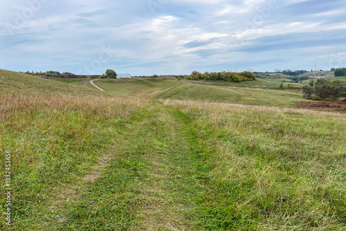 Rural landscape with a grassy dirt road winding through a hilly field and distant tree groves