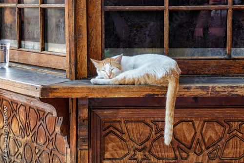 A red and white cat lies on the windowsill of a wooden kiosk next to the Ottoman Nuruosmaniye Mosque building in Istanbul. Turkey