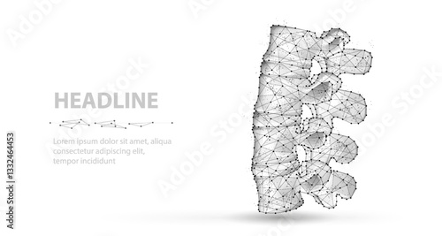 3d spine vector isolated on white. Chiropractic care, spinal cord, orthopedic surgery.