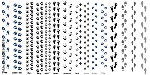 Human and animal footprints line set. Vector illustration.