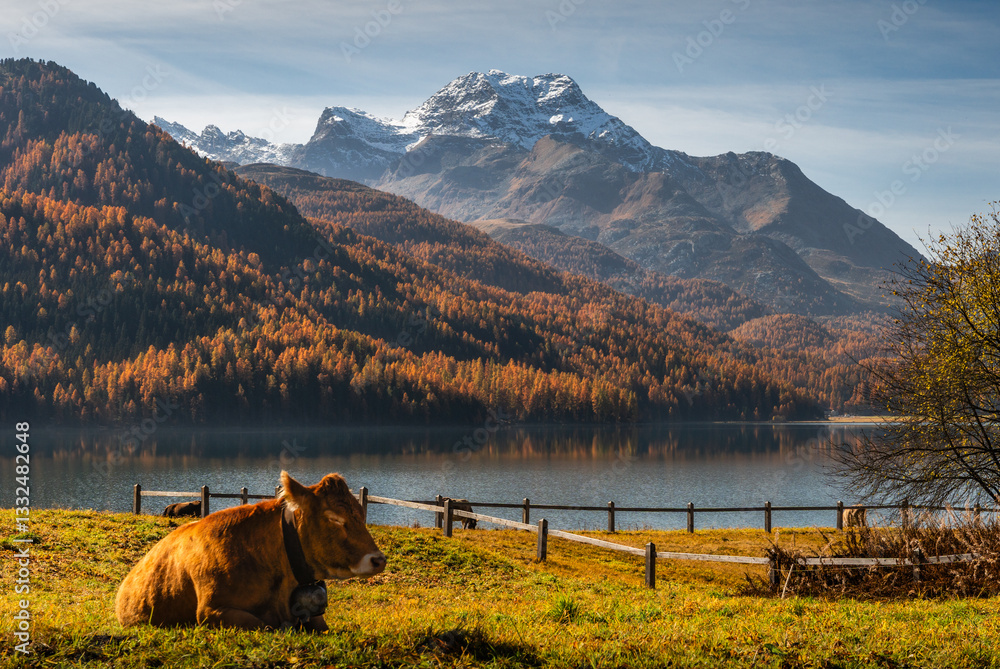 Autumn in Switzerland - Grisons