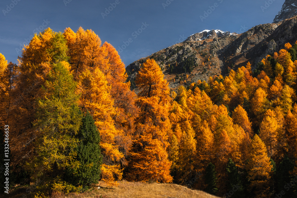 Fototapeta premium Autumn in Switzerland - Grisons