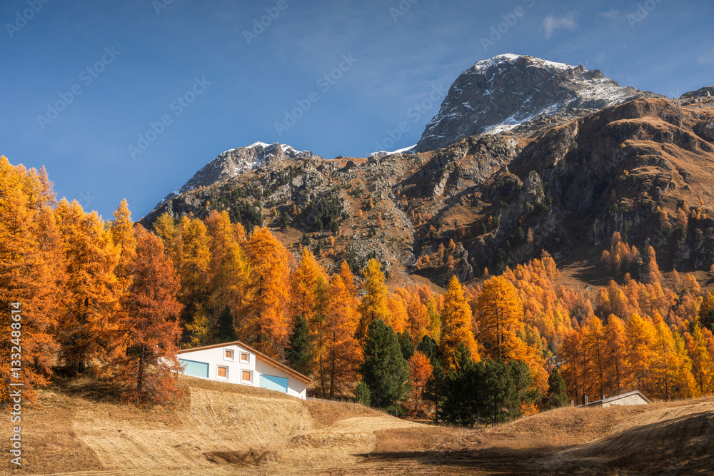 Autumn in Switzerland - Grisons