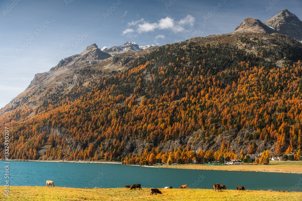 Autumn in Switzerland - Grisons