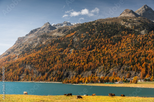 Obraz na płótnie Autumn in Switzerland - Grisons w salonie