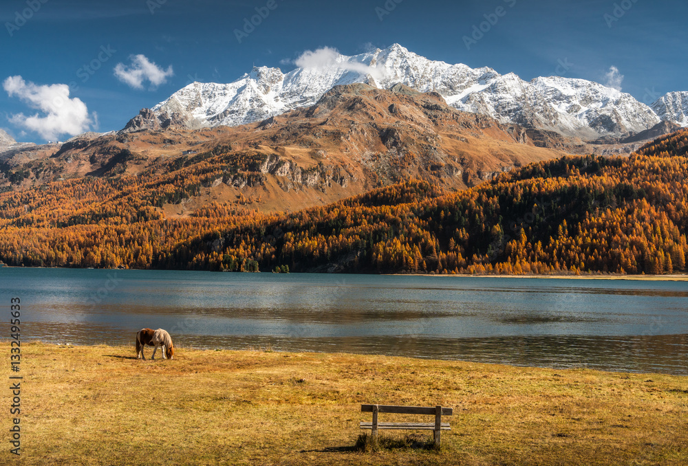 Autumn in Switzerland - Grisons