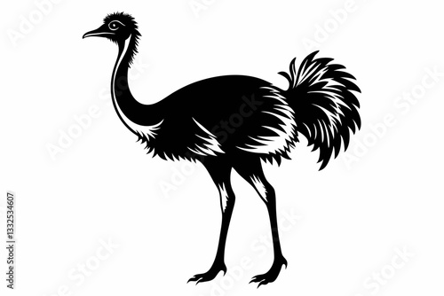 ostrich line art silhouette vector illustration