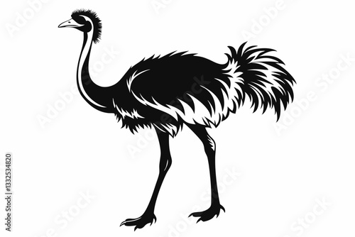 ostrich line art silhouette vector illustration