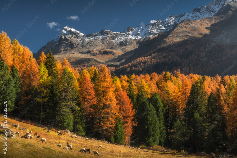 Autumn in Switzerland - Grisons