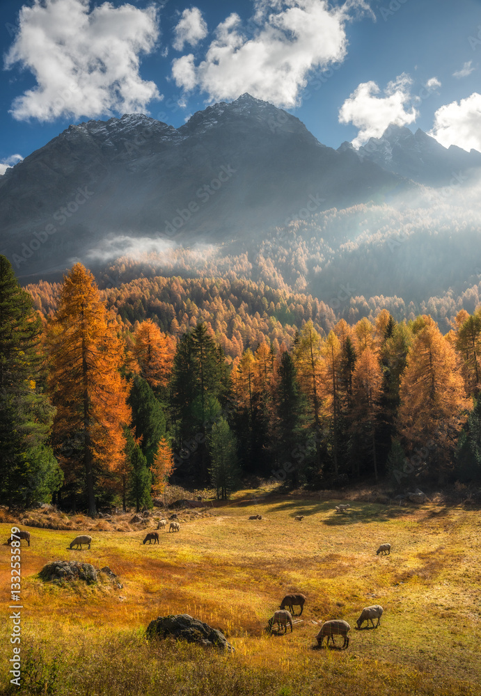 Autumn in Switzerland - Grisons