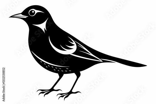 thrush bird line art silhouette vector illustration