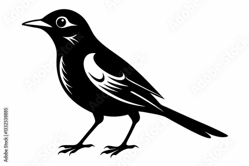 thrush bird line art silhouette vector illustration