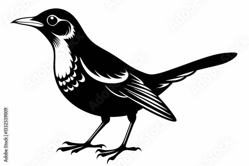 thrush bird line art silhouette vector illustration