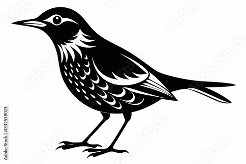 thrush bird line art silhouette vector illustration