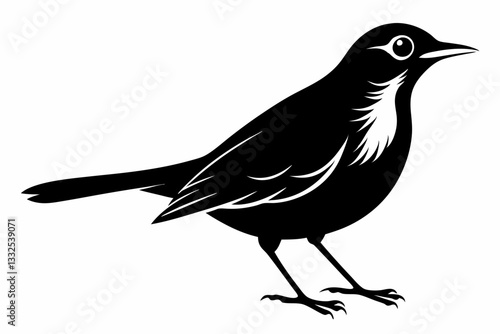 thrush bird line art silhouette vector illustration
