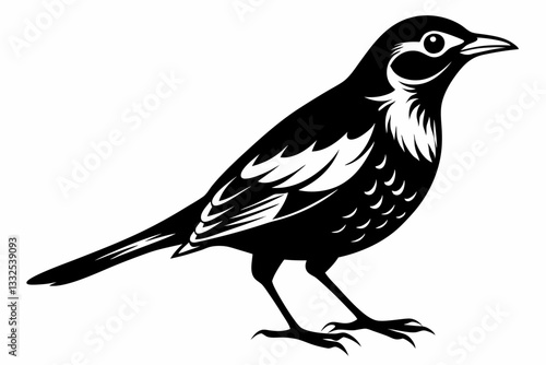 thrush bird line art silhouette vector illustration