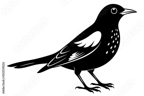 thrush bird line art silhouette vector illustration