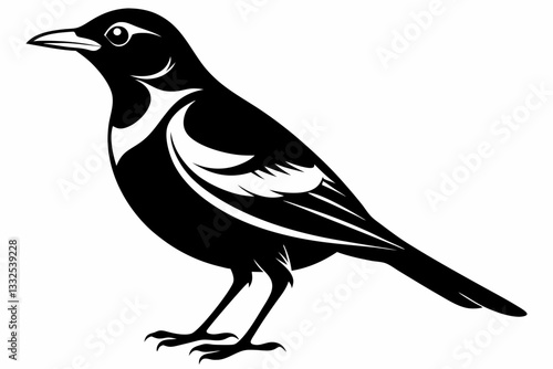 thrush bird line art silhouette vector illustration