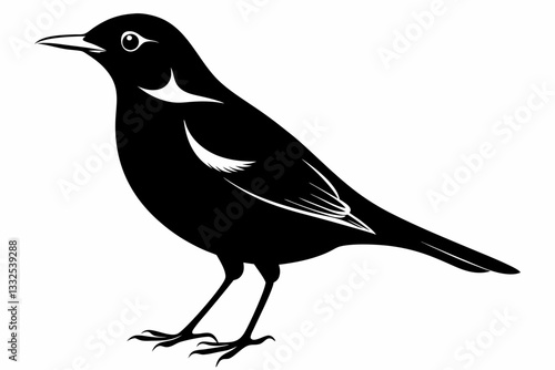 thrush bird line art silhouette vector illustration
