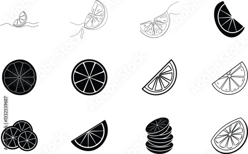 Citrus Fruit Slices Graphic Icons, Black, White, Line Art
