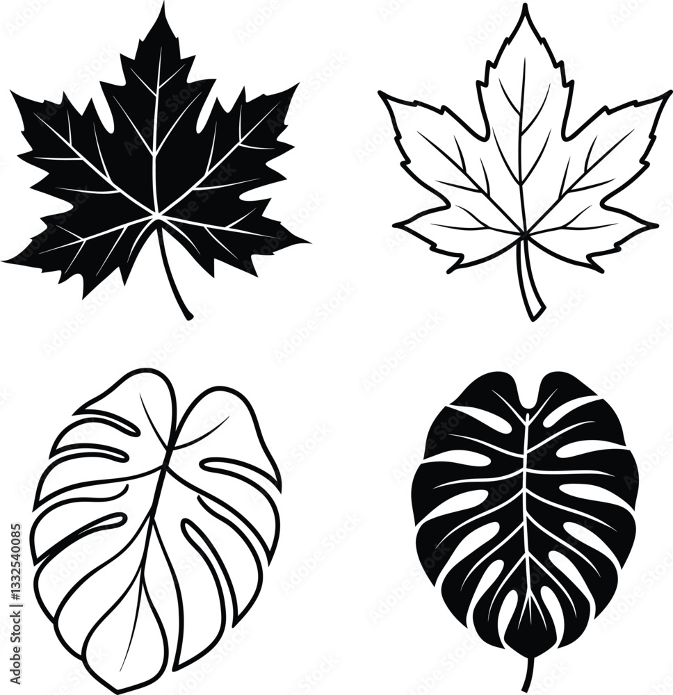 Fototapeta premium Four Simple Leaf Illustrations Maple and Monstera Designs