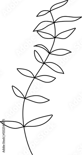 Botanical plants outline