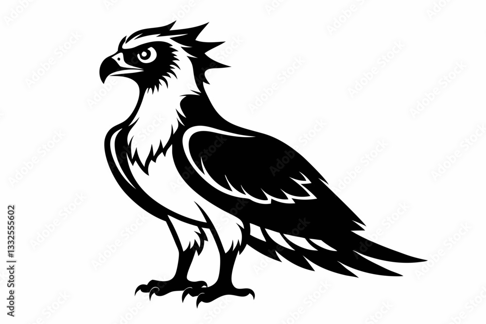 Fototapeta premium osprey bird line art silhouette vector illustration