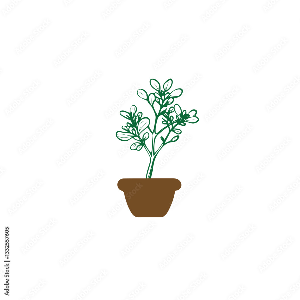 Fototapeta premium jade plant icon vector image with white background
