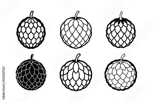 Custard Apple – Annona reticulata line art vector illustration