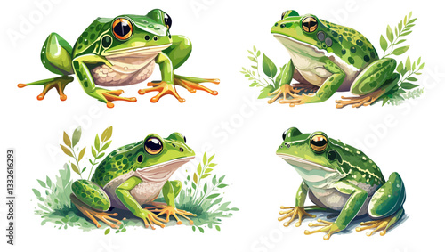 Green frog watercolor illustration. Realistic amphibian for wildlife design, vector.