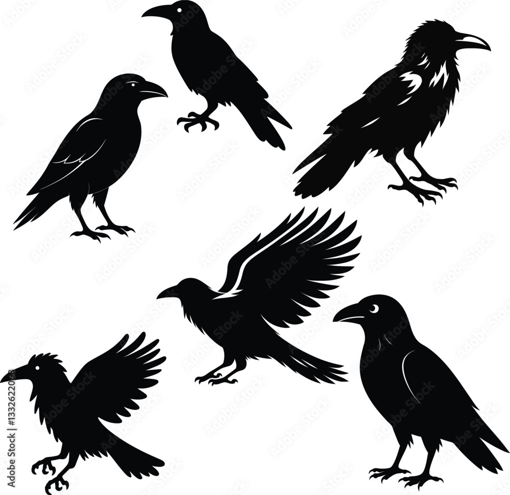 Mysterious Crow Silhouette | Gothic Raven Vector | Dark Bird Illustration Mysterious Crow Silhouette | Gothic Raven Vector | Dark Bird Illustration