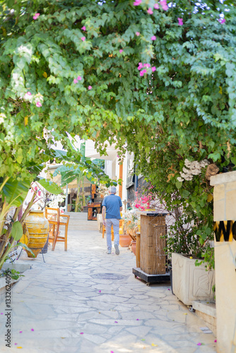 Fototapeta Naklejka Na Ścianę i Meble -  garden with flowers