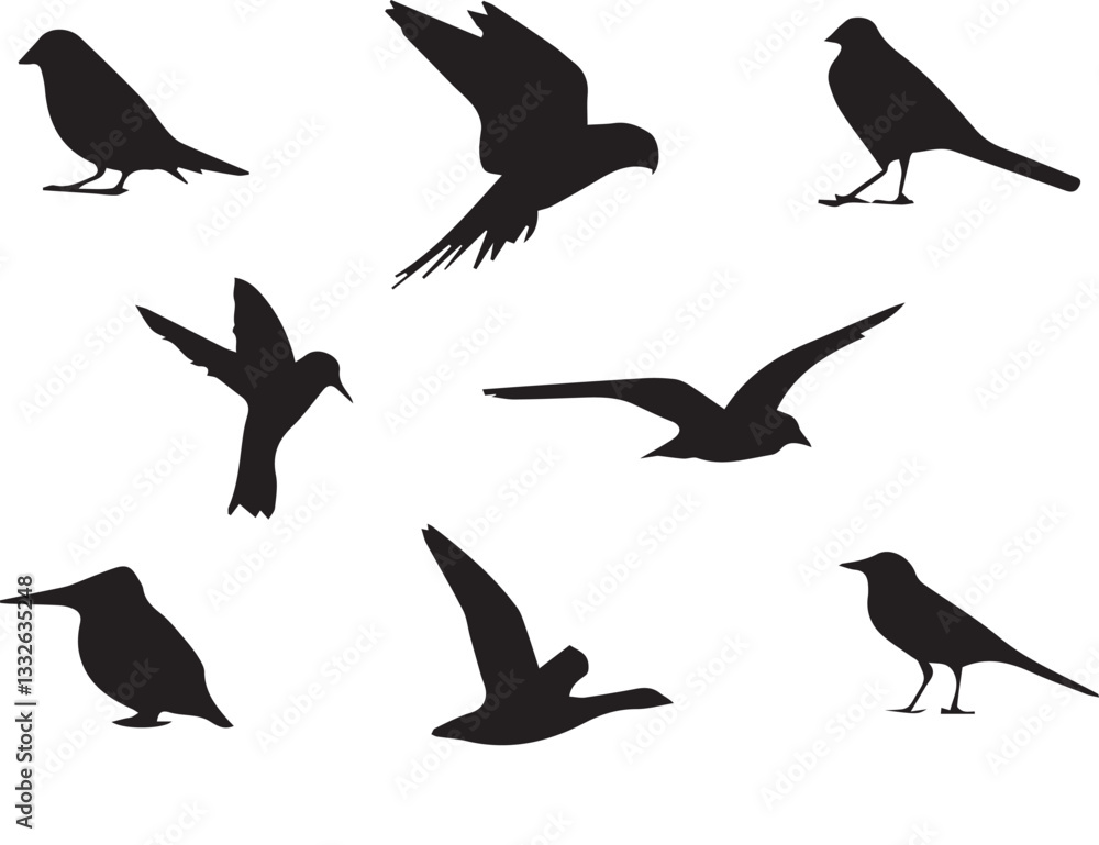 Fototapeta premium Bird vector, bird, animal, sparrow, feather, flying, animals, wildlife, wild, wing, duck vector set