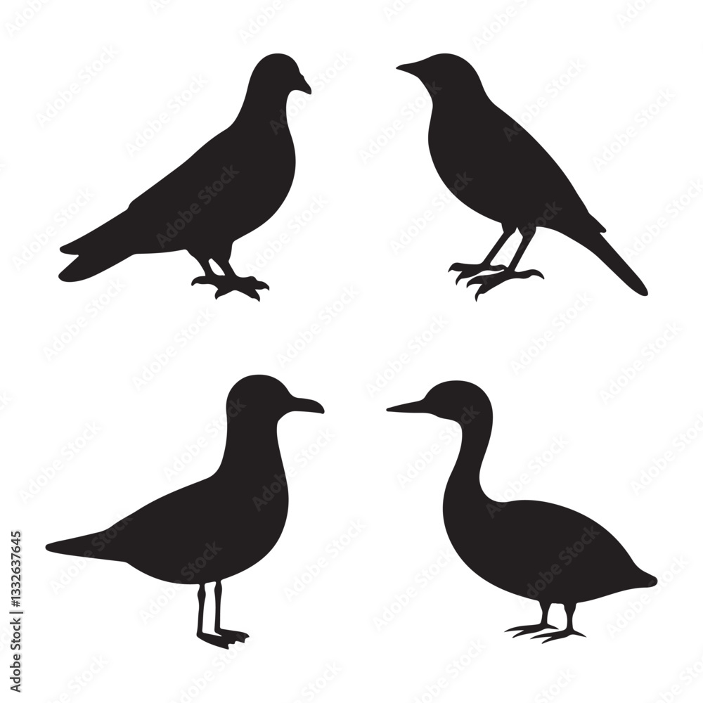 A Collection of Bird Silhouettes A Collection of Bird Silhouettes