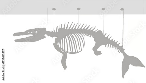 Giant whale skeleton hanging in museum, marine history exhibition