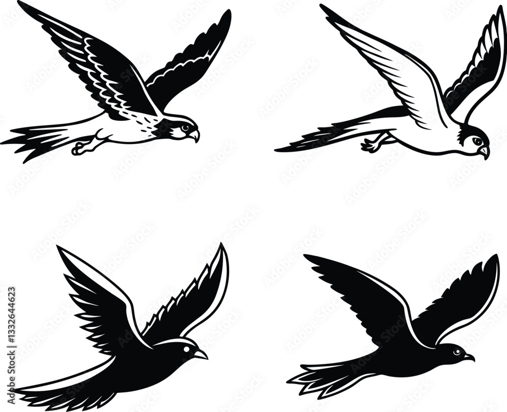Obraz premium set of vector birds