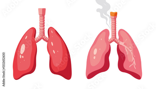 Comparison of healthy lungs and smoker's lungs on white background, health awareness