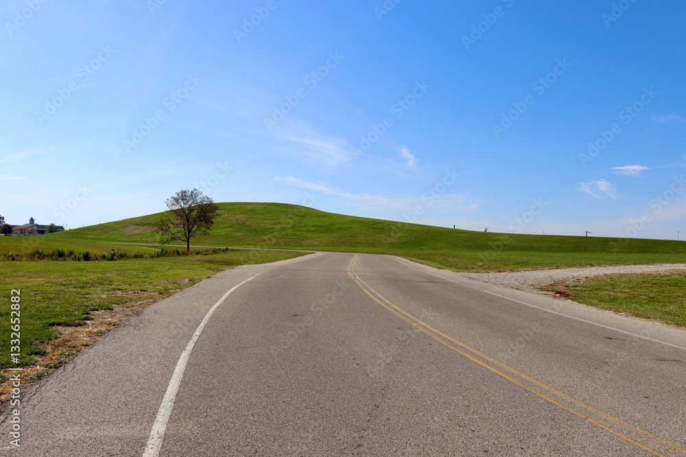 Fototapeta premium The empty road in the country on a sunny day.
