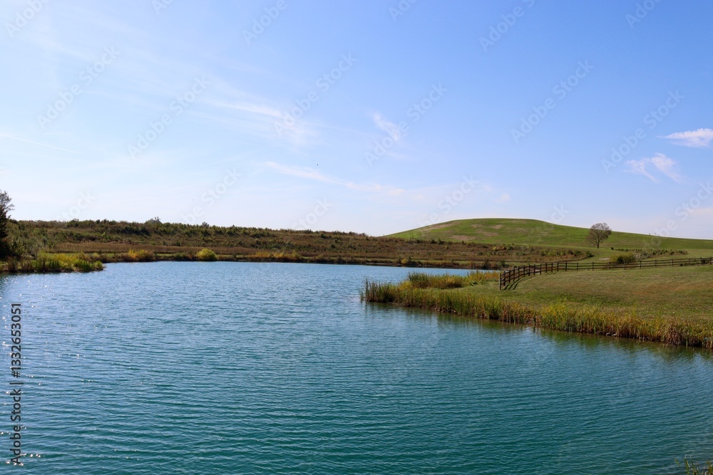 The peaceful lake in the countryside on a sunny day. The peaceful lake in the countryside on a sunny day.