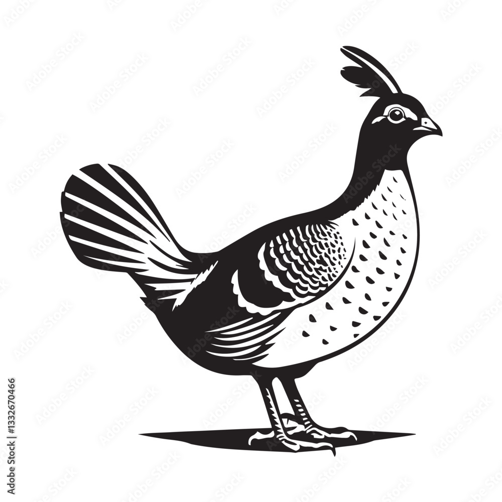 Fototapeta premium Vector illustration of a cartoon chicken, a funny farm bird with a white hen and chick